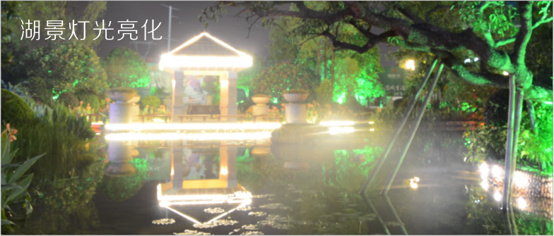 湖景燈光亮化裝飾，根據湖區建筑特點，利用防水點光源及一些發光燈，很好渲染出夜間湖景的意境氛圍