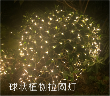 球狀植物拉網燈專門為一些修剪球狀類植物打造的燈具，安裝便捷，效果勻稱飽滿